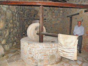Agridia Olive - Mill